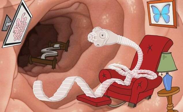 Parásitos no corpo